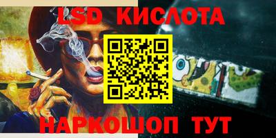 ешки Сланцы