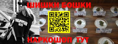 ешки Сланцы